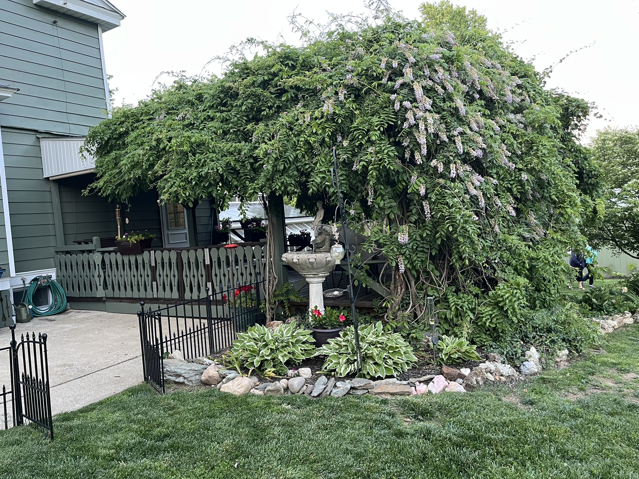Garden photo